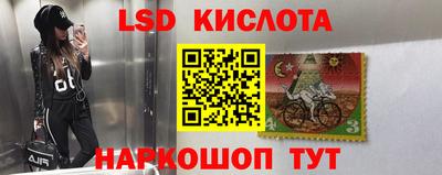 индика Краснознаменск