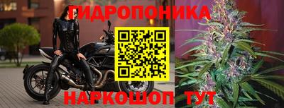 индика Краснознаменск